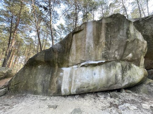 Image of Rainbow Rocket